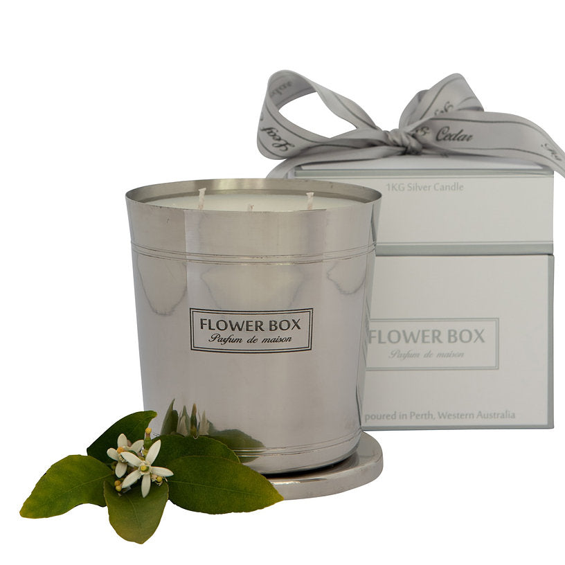 Domain Gallery-Silver Candle