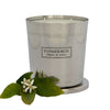 Flower Box Home fragrances Fig Leaf & Cedar Candle