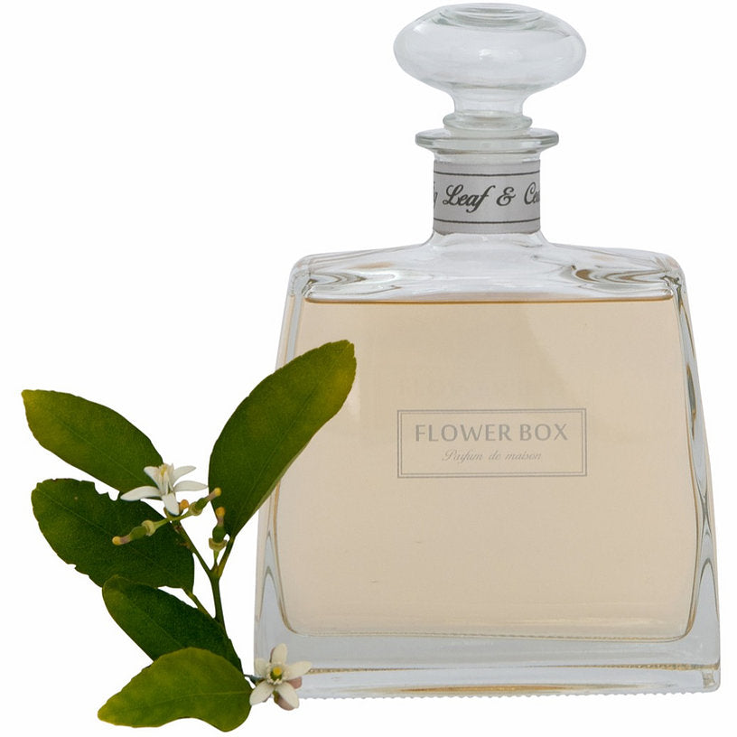 Flower box home fragrances in Domain Gallery