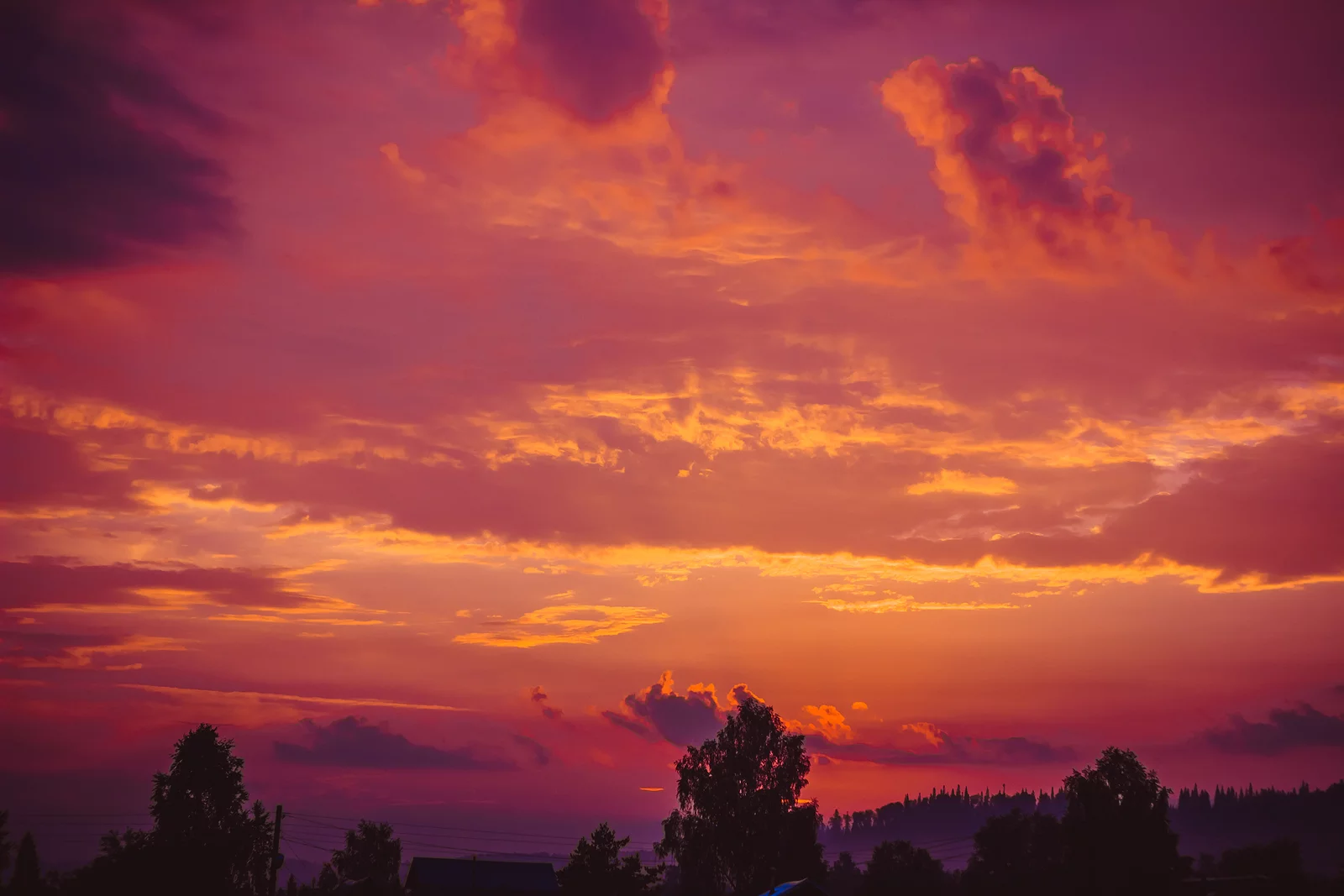 Flower Box Home Fragrances | blood plum and leather